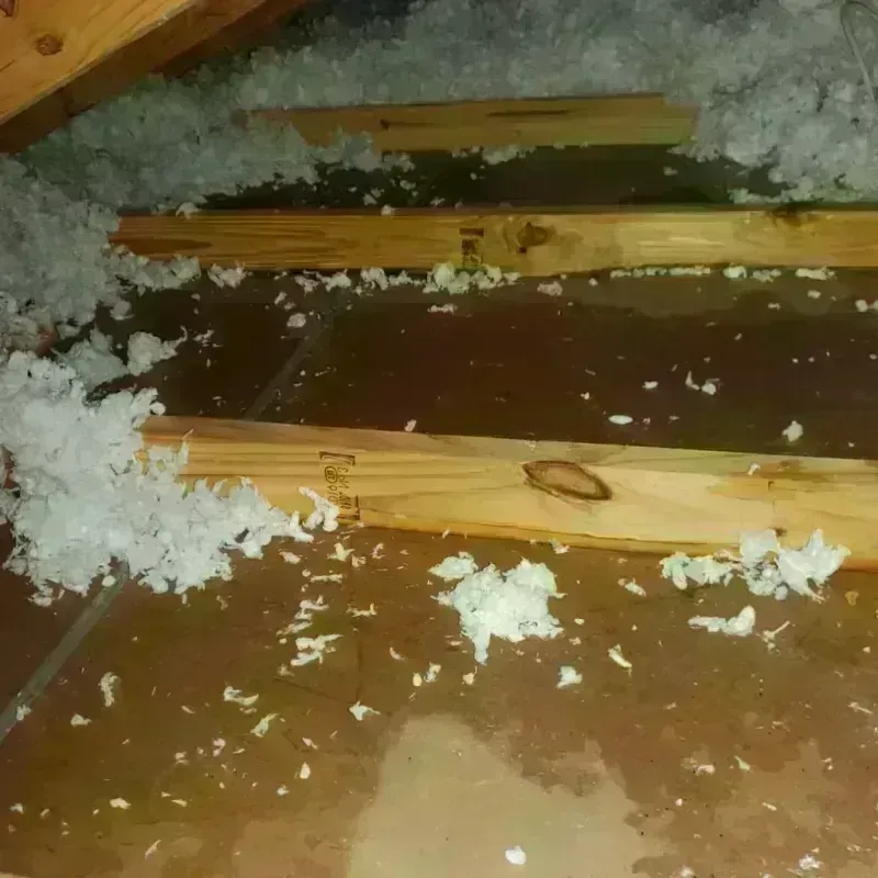 Attic Water Damage in Wedowee, AL