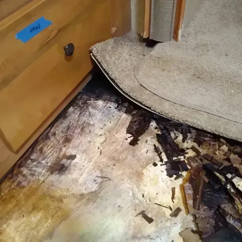 Wood Floor Water Damage in Wedowee, AL